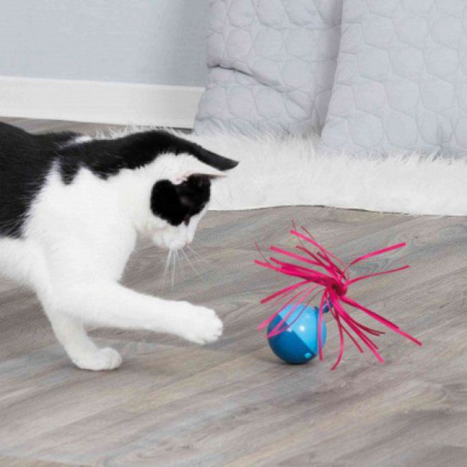 Pop-up Ball, jouet pour chat 