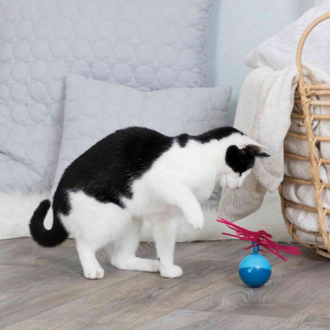 Pop-up Ball, jouet pour chat 