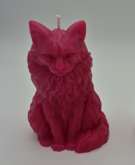 Bougie chat maine coon faite main.