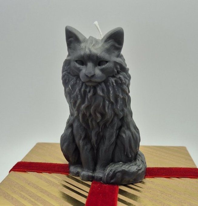 Bougie chat maine coon faite main.