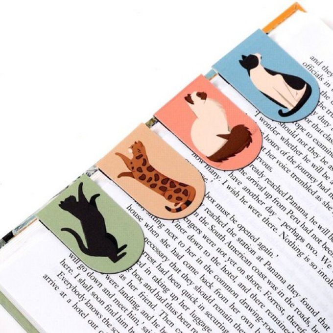Lot de 4 marques-page magnétiques Chats -