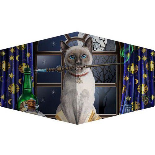 Masque De Protection Chat Siamois Au Pinceau Toutenchat