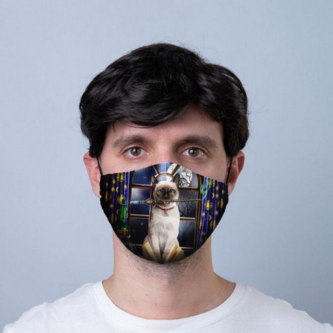 Masque de protection chat siamois au pinceau