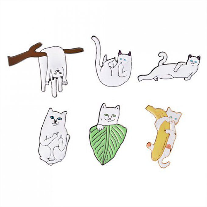 Pins chat blanc