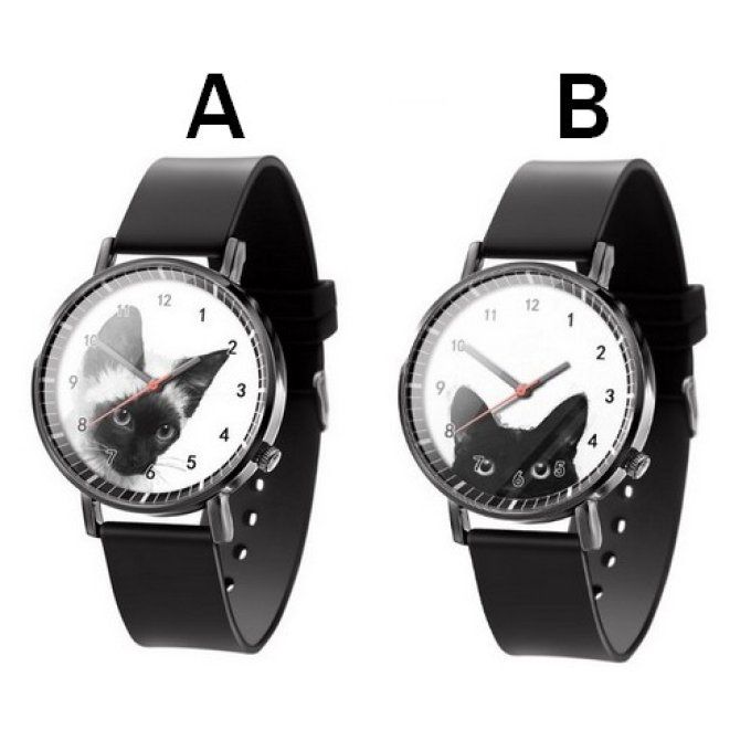 Montre chat noir ou siamois sur fond blanc.