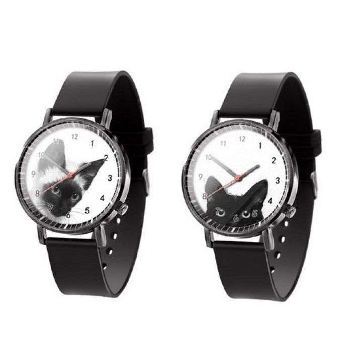 Montre chat noir ou siamois sur fond blanc.