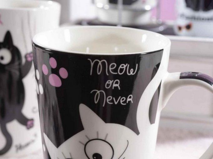 Mug en porcelaine chat best friends 15 cm