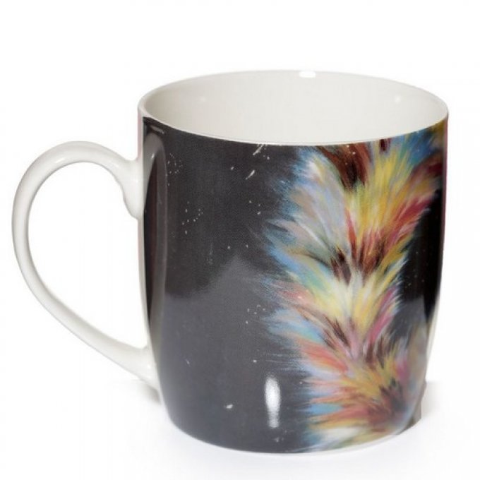 Mug  kim haskins chat arc en ciel