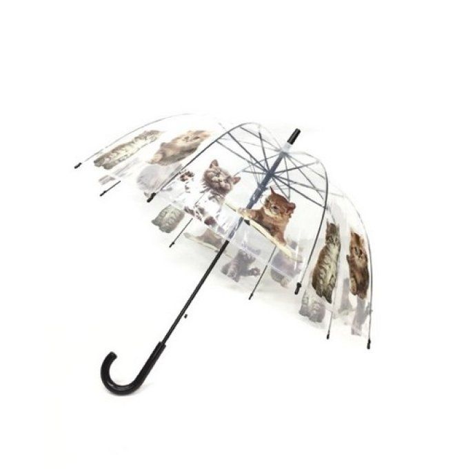 Parapluie transparent automatique farandole de chats.