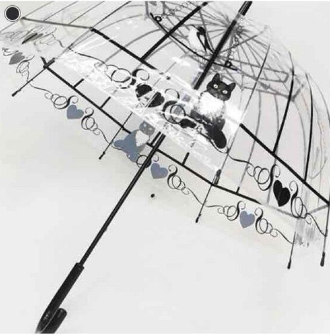 Parapluie cloche transparent le chat et l'oiseau.