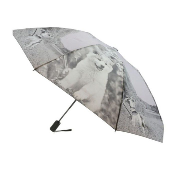 Parapluie pliant automatique motif chiens.