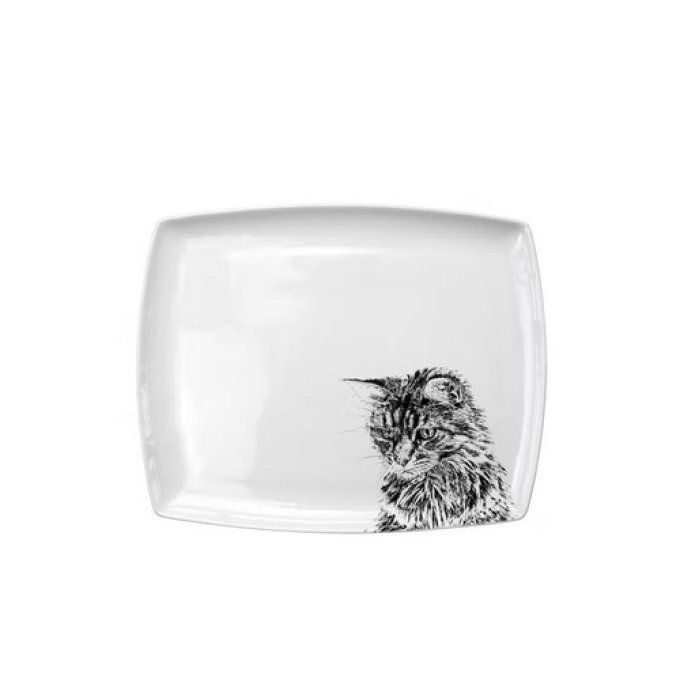Plat chat gris en porcelaine blanche.