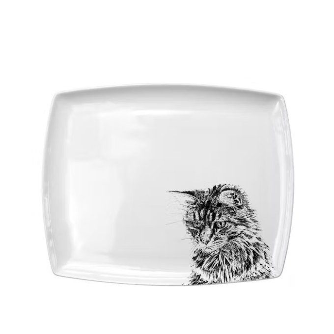 Plat chat gris en porcelaine blanche.