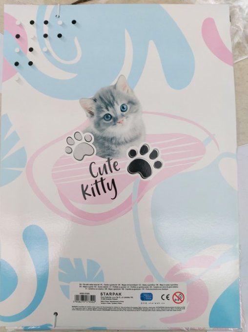 Pochette en carton chat gris .