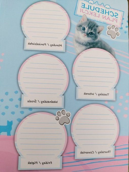 Pochette en carton chat gris .