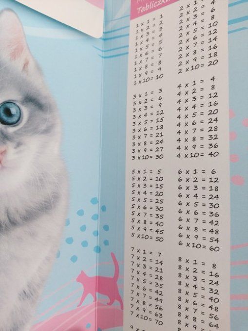 Pochette en carton chat gris .