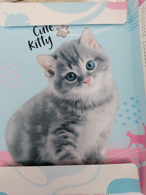 Pochette en carton chat gris .