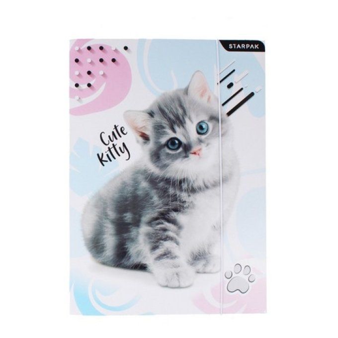 Pochette en carton chat gris .