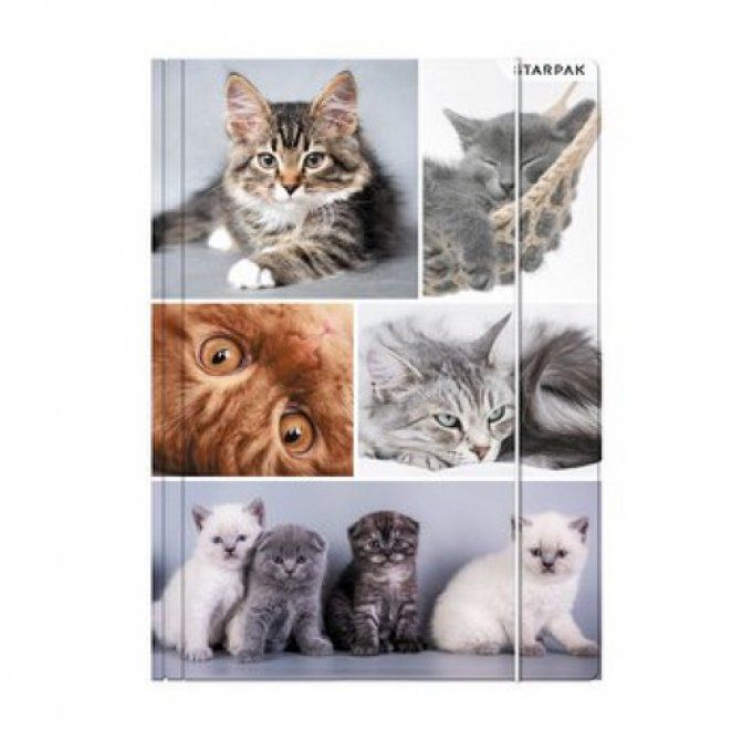 Pochette en carton photos de chats avec élastique