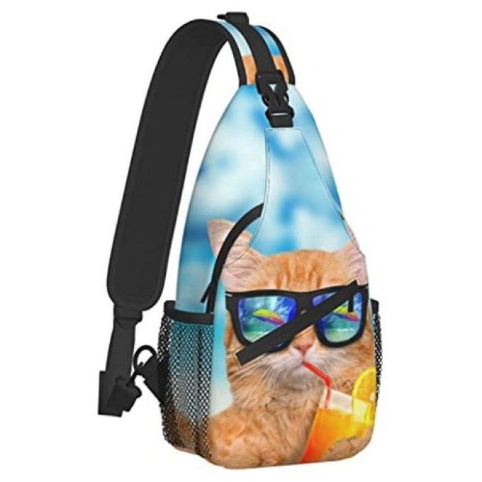 Sac à dos le chat roux à la plage - Toutenchat