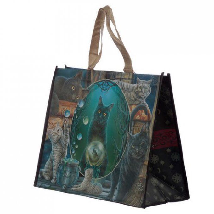 Sac cabas chat magie lisa parker