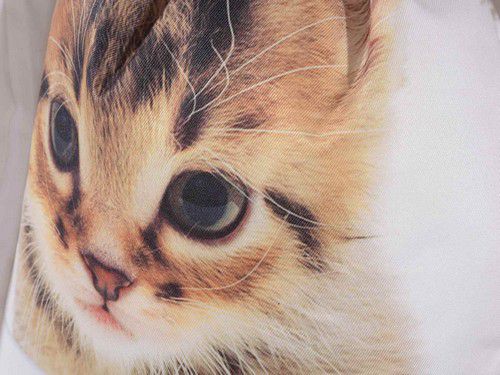 Sac A Dos Chatons En Toile Toutenchat