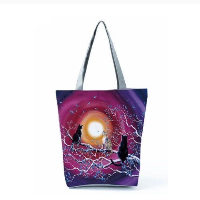 Sac les chats regardent  le soleil .