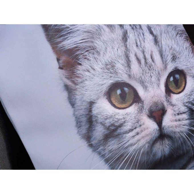 grand sac chaton gris