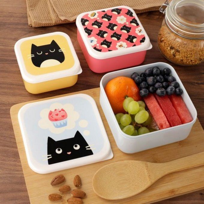 Set de 3 Boites Repas M/L/XL Feline Fine - Chat