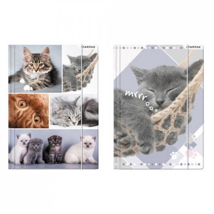 Pochette en carton photos de chats avec élastique