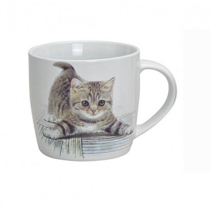 Tasse petit chaton 