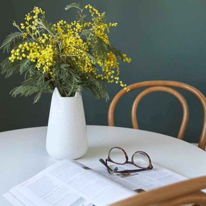 Pot multi-usages ou vase chat en céramique blanc ou gris